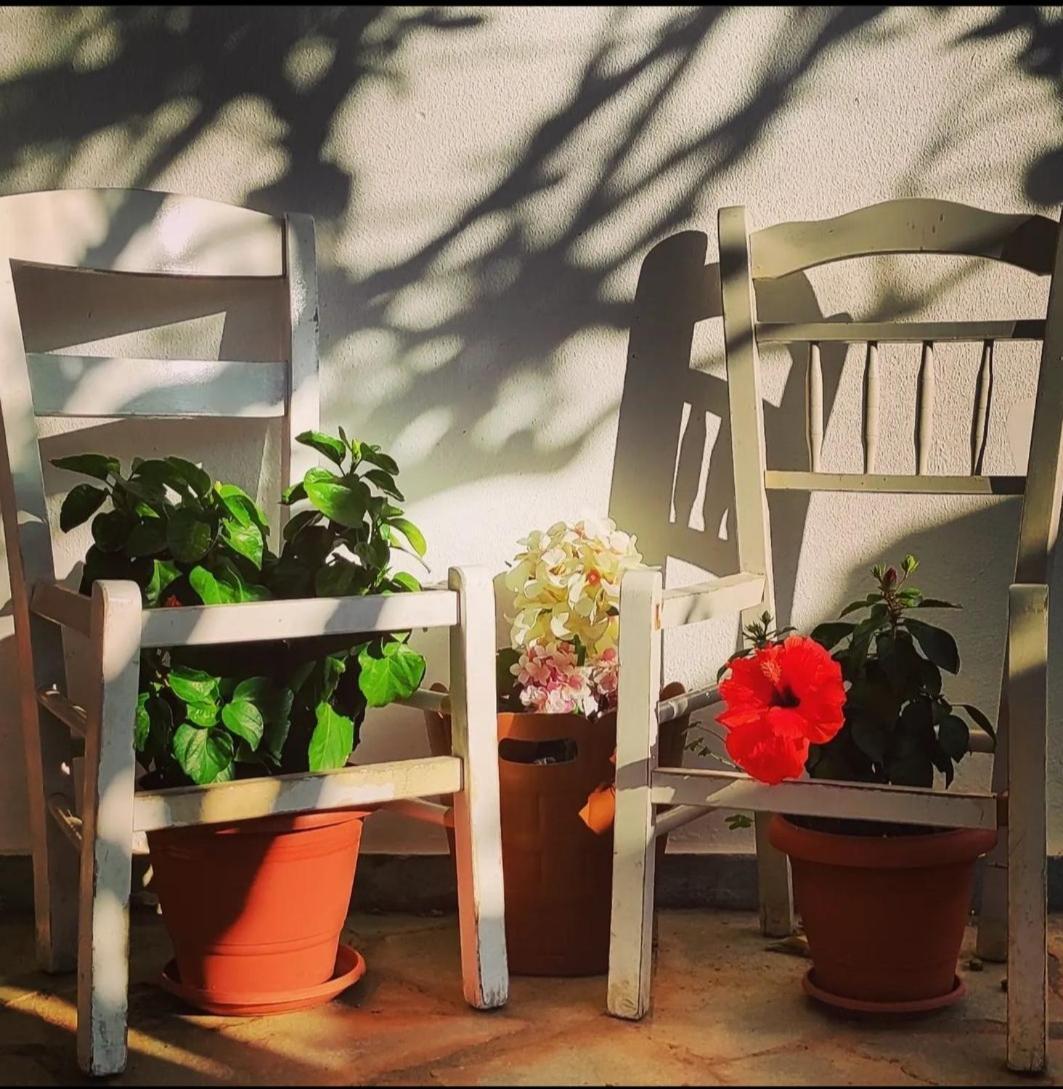 Secret Garden Home Lagonissi Attiki Melissourgoú Esterno foto